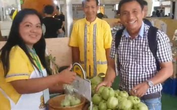 เริ่มแล้วงาน ‘Fruits & Vegetables ESAN Fair 2019’ เทศกาลของกินถูกปาก