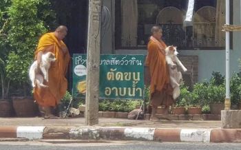 ภาพน่ารัก! \'หลวงพี่\'กระเตงเจ้าตูบไปฉีดยา ชาวเน็ตแซว\'พระอุ้มหมาของแท้\'