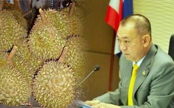 พบทุเรียนด้อยคุณภาพจากประเทศเพื่อนบ้าน สวมชื่อทุเรียนไทยส่งไปจีน