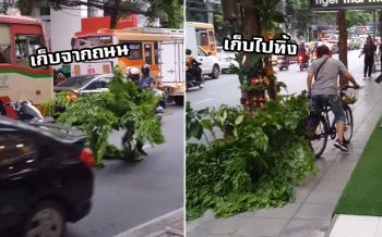 สังคมต้องการคนแบบคุณ! โซเชียลชื่นชม2หนุ่ม เก็บกิ่งไม้ร่วงกลางถนน