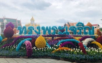 กทม.ประดับต้นปทุมมาสีฟ้าช่วงวันแม่ตลอดสิงหา