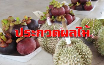 ‘นราธิวาส’ ประกวด ‘ทุเรียนพื้นบ้าน-มังคุด’ อนุรักษ์ส่งเสริมการท่องเที่ยว