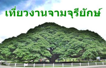 \'อบจ.-ททท.-สภาวัฒนธรรม\' เตรียมจัดงาน \'เที่ยวจามจุรี ชมของดีเมืองกาญจน์\'