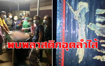 ทีมสัตวแพทย์ผ่าซาก \'มาเรียม\' พบพลาสติกอุดลำไส้ติดเชื้อกระแสเลือด