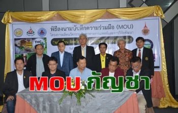 \'มทร.พระนคร\' MOU \'อบต.แก่งเสี้ยน\' ผลิตกัญชาทางการแพทย์\'