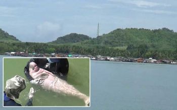 ผลักดัน\'เกาะลิบง\'ต้นแบบศึกษาพะยูน-สัตว์ทะเล เที่ยวเชิงนิเวศแห่งอาเซียน