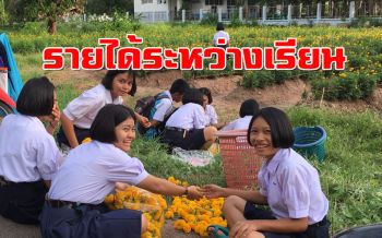 สร้างรายได้! นักเรียนโรงเรียนชายแดนไทย-กัมพูชา ปลูกดาวเรืองระหว่างเรียน
