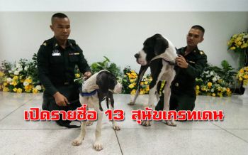 เปิดชื่อ 13 สุนัขพันธุ์เกรทเดน \'สุนัขในพระบรมราชานุเคราะห์\'