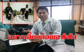 สัตวแพทย์!!แนะเลี้ยงสุนัข\'เกรทเดน\'หัวใจหลักคือ\'การดูแล\'