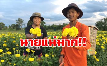 วัยรุ่นสร้างตัว! \'สองสามีภรรยา\'ปลูกดาวเรืองขาย สร้างฐานะครอบครัว (ชมคลิป)