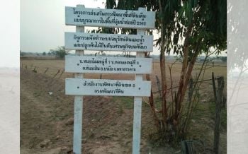 ชาวนาบรบือมหาสารคาม อยากเข้าร่วมโครงการ‘แก้ดินเค็ม’ของพด. หลังเห็นผลดินดี ข้าวงาม