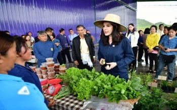 \'มนัญญา\'ปั้นอุทัยธานีโมเดล ส่งเสริมปลูกผักปลอดภัยปลดหนี้เกษตรกร