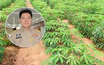 7อำเภอโคราช\'ใบด่างมันสำปะหลัง\'ระบาด พ่อเมืองประกาศเป็นเขตพื้นที่ควบคุม