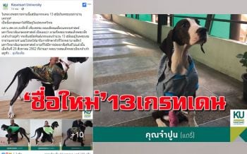 \'ในหลวง\'พระราชทานชื่อใหม่ \'13สุนัขเกรทเดน\'เป็นชื่อในกลุ่มดอกไม้ไทย