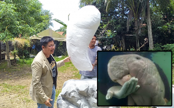 กระบี่ปั้นหุ่น\'มาเรียม\'พะยูนน้อยกำพร้า! สร้างจิตสำนึกหยุดทิ้งขยะพลาสติกลงทะเล