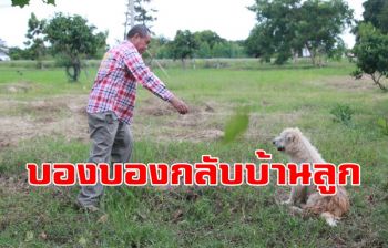 \'เจ้าบอง บอง\' เจอเจ้านายเก่าแล้ว แต่ไม่ยอมกลับ ลุ้นกล่อมใหม่วันพรุ่งนี้