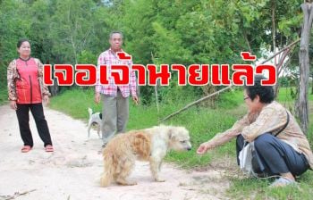 คลิป\'เจ้าบอง บอง\' ทักเจ้านายเก่า แต่งอนไม่ยอมกลับ