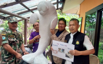 กระบี่แจงดราม่า! ปมใช้โฟมขึ้นรูปหุ่นจำลอง\'มาเรียม\'ตั้งอนุสาวรีย์พะยูน