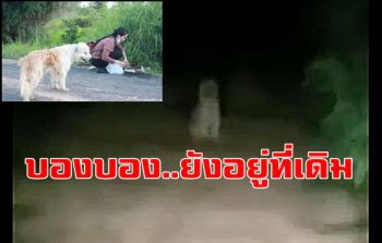 หญิงสาวใจดีร่ำให้ขอ\'บอง บอง\'ไปเลี้ยงหลังให้อาหารมากว่า 4 ปีจนผูกพันตั้งชื่อใหม่\'ลีโอ\' (ชมคลิป)