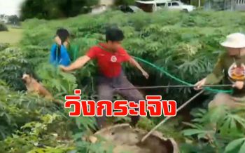 คลิป จนท.กู้ภัยวิ่งกระเจิงหลังช่วยสุนัขตกบ่อ