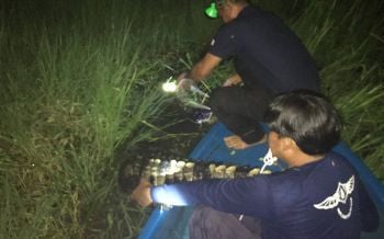 สิงห์บุรีจระเข้หลุดแล้ว1ตัว  ทีม\'ไกรทอง\'จับตัวได้ทันควัน ย้ำจนท.เฝ้าระวั่ง284ฟาร์ม