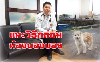 \'น.สพ.นนทษิต\' แนะวิธีกล่อม \'บองบอง\' คาด \'สายพันธุ์เทอร์เรียผสม\' ขี้เล่น-ฉลาด