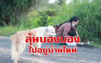 ลุ้น \'เจ้าบองบอง\' ไปอยู่บ้านเจ้านายใหม่สาวใจดีที่ให้อาหาร-ยามากว่า4ปีวันนี้