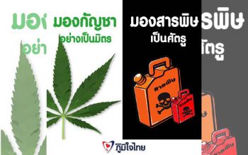 ‘ภท.’ ลุยเปิดแคมเปญรณรงค์ ‘มองกัญชาอย่างมิตร มองสารพิษเป็นศัตรู’