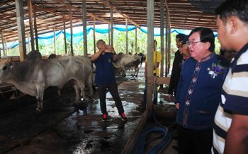 ‘ประภัตร’หนุนเลี้ยง‘โคเนื้อ’เข้าสู่ระบบGAP เพิ่มมูลค่าส่งออก ลดนำเข้า