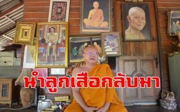 คลิป\'นำลูกเสือกลับมาจะเลี้ยงให้ดู\'! \'หลวงตาจันทร์\'เทศน์ยาวหลังเสือของกลางตาย86ตัว
