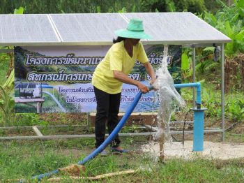 รายงานพิเศษ : หนุนปลูกพืชผสมผสานปลอดสารพิษ  ทางรอดสมาชิกสหกรณ์การเกษตรห้วยคต