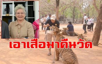 เอาเสือมาคืนวัด! ปธ.กลุ่มอนุรักษ์แนะกรมอุทยานฯใจกว้างพิสูจน์ฝีมือให้วัดเลี้ยง
