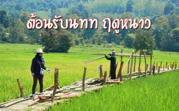 ชุมชน ‘หุบเขานครชุม’ เร่งสร้างสะพานไม้ไผ่รับนักท่องเที่ยวท้าลมหนาว