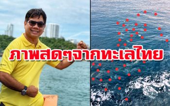 ‘อ.ธรณ์’โพสต์ภาพ‘ถุงพลาสติก’ลอยเกลื่อน ย้ำ‘ทะเล’โดนตื้บๆซ้ำแล้วซ้ำอีก