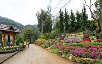 หนาวนี้ขึ้นดอย!! ตามรอยพ่อหลวง ร.9 สถานีเกษตรหลวงอินทนนท์