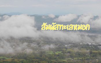 เที่ยว ‘เลย’ ชมทะเลหมอก ‘แม่น้ำโขง-เชียงคาน’ อุณหภูมิ15-23 องศา