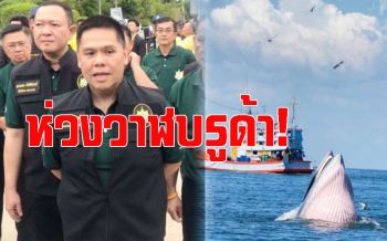 ถามหาจิตสำนึก! ‘ท็อป วราวุธ’ห่วงเจ็ทสกี รบกวน‘วาฬบรูด้าเพชรบุรี’