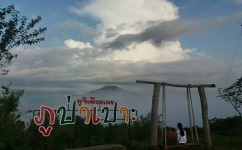 ความหนาวเข้าปกคลุม \'ฟูจิภูป่าเปาะ\' เมืองเลยแล้วนักท่องเที่ยวเริ่มหลังไหล