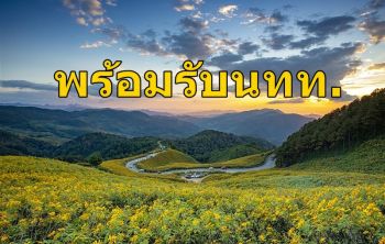 ชวนเที่ยวขุนยวมชมทุ่งดอกบัวตองบานบนดอยแม่อูคอ-น้ำตกแม่สุรินทร์