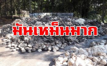 ชาวบ้านเพชรบูรณ์ร้องทุกข์มา2ปี กินข้าวไม่ลง เหม็น‘ก้อนยาง’ทิ้งใกล้ชุมชน
