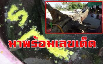 คลิป อัญเชิญตะเคียน \'พ่อปู่ทองคูณ แม่ย่าเทวี\' เข้าวัดพร้อมเลขเด็ด