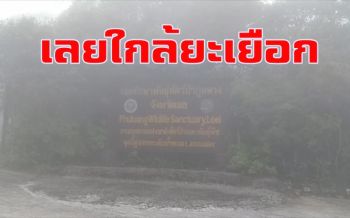 น่าไปเที่ยวโต้ลมหนาว! เมืองเลยอุณหภุมิลดอีกบน \'ภูหลวง\' เหลือแค่ 12 องศา (ชมคลิป)
