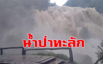 คลิป เกิดน้ำป่าไหลหลาก! หลังฝนตกหนักยอดดอยอินทนนท์​