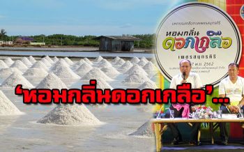 เพชรบุรีจัดงานยิ่งใหญ่ ต่อลมหายใจเกลือทะเลเพชรสมุทรคีรี