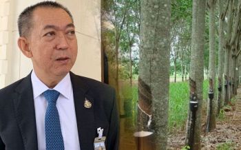 ‘โรคใบร่วง’ลามกินสวนยาง3.3แสนไร่ ‘เกษตรฯ’เตรียมบิน‘โดรน’พ่นยานำร่องนราธิวาส