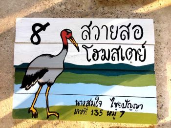 ม.ขอนแก่น ใช้นกกระเรียนย้ำอัตลักษณ์หมู่บ้านสวายสอ  เพิ่มความโดดเด่น ของหมู่บ้านชุมชนท่องเที่ยว OTOP นวัตวิถี