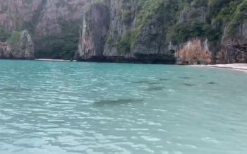 พบ\'ฉลามหูดำ\'นับสิบแหวกว่ายรอบเกาะพีพี ชี้ผลพวงจากการปิดอ่าวมาหยา (ชมคลิป)