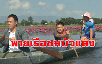 พายเรือชมความสวยงาม \'ทุ่งบัวแดง\' กว่า 100 ไร่กว๊านพะเยา
