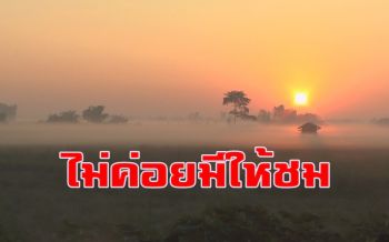 สวยงาม! อุณหภูมิลดเกิดปรากฏการณ์ทะเลหมอกกลางทุ่งนาที่พิจิตร