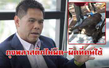 \'วราวุธ\'ลุยมาตรการแบนถุงพลาสติก หลังพบซากขยะในท้องกวาง